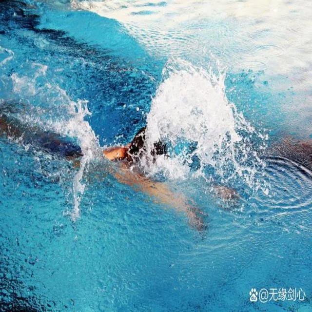 吴艳妮2023室外赛程深度解析